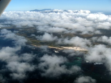 Welcome to CapeSafari
